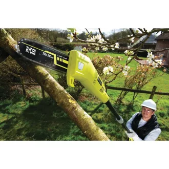 Ryobi RPP755E elektromos nyeles ágvágó