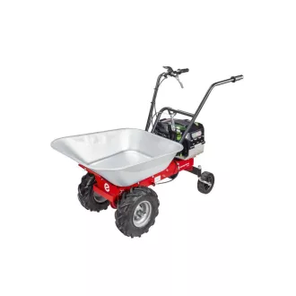 Eurosystems CARRY benzines talicska - B&S 450E