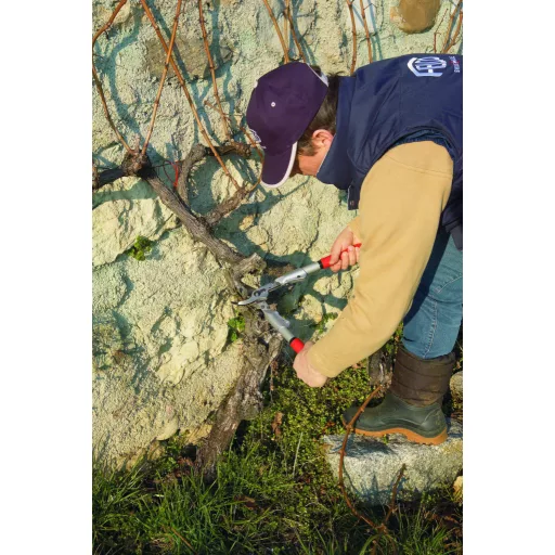 Felco 200A-40 ágvágó olló
