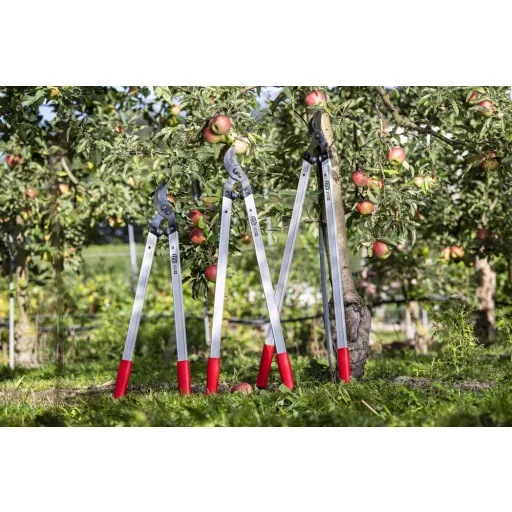 Felco 221-80 kétkezes ágvágó olló