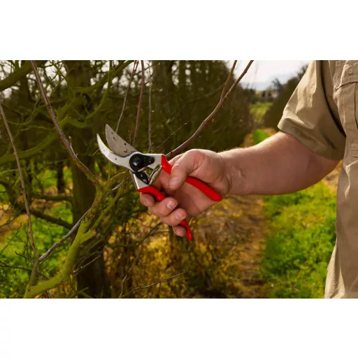 Felco 2 metszőolló + Felco 600 bicskafűrész díszdobozban