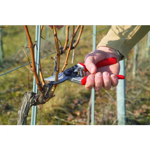 Felco 8 metszőolló