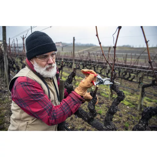 Felco 8 metszőolló