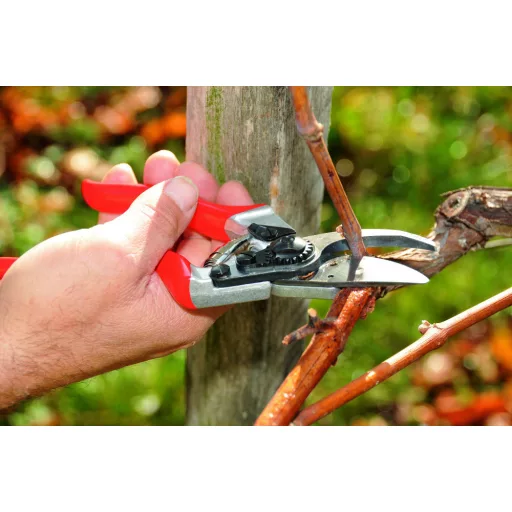 Felco 8 metszőolló