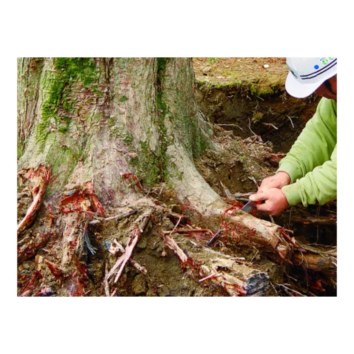 Silky Gomtaro 240-8 Root fűrész
