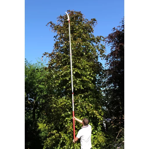ARS UV-47 fűrész + EXP-3.3 teleszkópos rúd